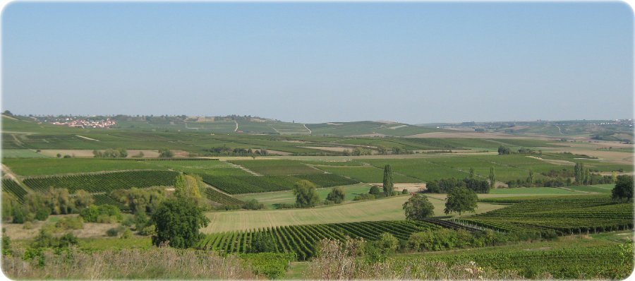 Geyersberg Panorama